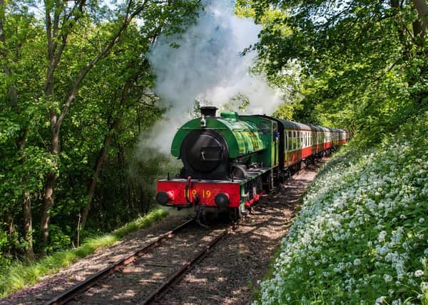 The No19 in the woods on the Bo'ness & Kinneil Railway. Photo by Peter Backhouse.