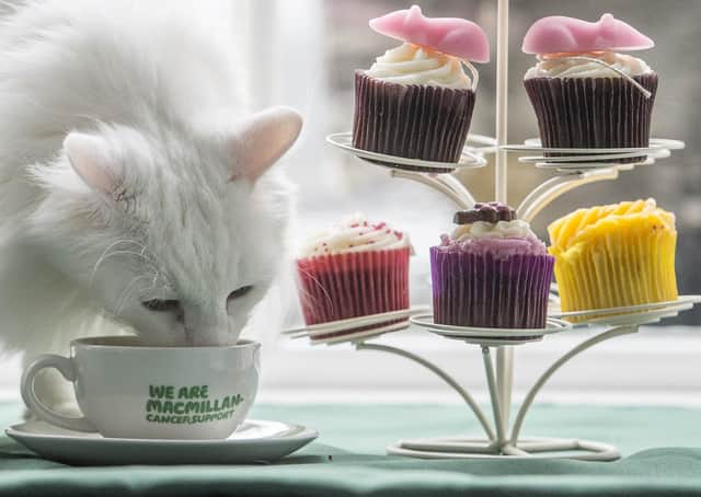 Lapping up the treats...even your pets can get in on the World's Biggest Coffee Morning on September 25 for Macmillan! (Pic: Phil Wilkinson)