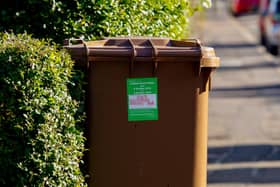 file pic of a brown garden bin 29/10/18