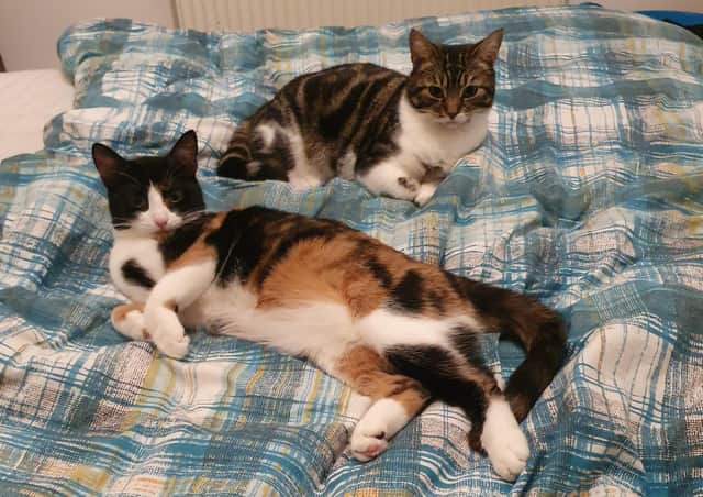 Aegon (top) and Aerith