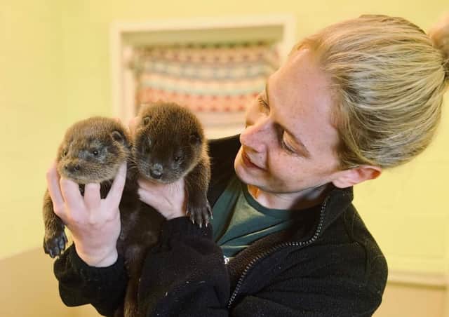 The Scottish SPCA has launched its new appeal