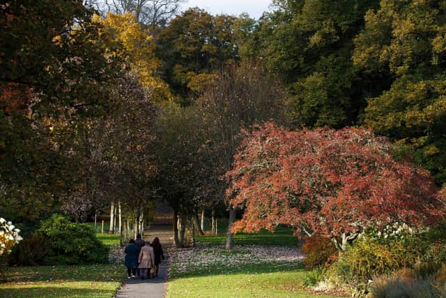A chance to explore...Scone Palace in Perth, where head gardener Brian Cunningham will be leading tours among the trees that grow on the estate.