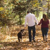 A walk...is the best medicine to cope with pandemic stress, along with keeping in contact with our family and friends.