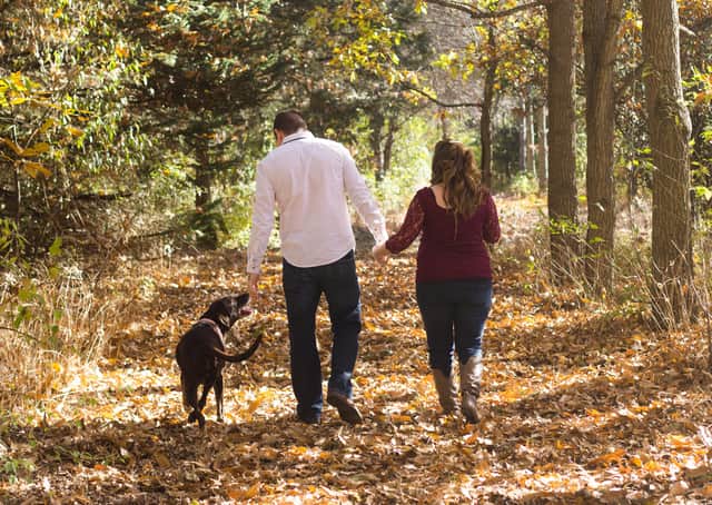A walk...is the best medicine to cope with pandemic stress, along with keeping in contact with our family and friends.
