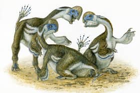 Artist's impression...of what the newly-discovered dinosaur would have looked like. (Pic: Michael Skrepnick)