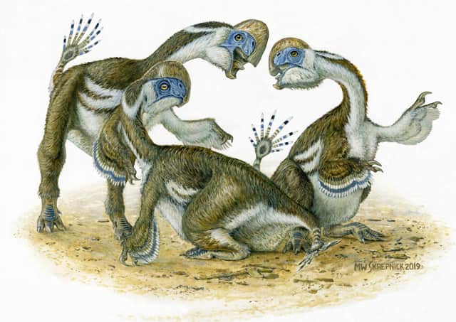 Artist's impression...of what the newly-discovered dinosaur would have looked like. (Pic: Michael Skrepnick)