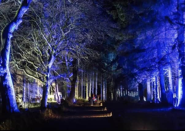 The Beecraigs Festive Forest attraction held just outside Linlithgow at Beecraigs Country Park.