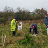 Trees being planted by Burgh Beautiful Linlithgow volunteers west of Linlithgow Leisure Centre earlier this week