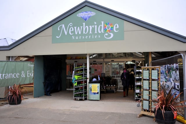 Newbridge Nurseries has been at Broadbridge Heath for more than 30 years, having started off as a small nursery selling shrubs and bedding plants.  It was developed into a modern garden centre in 1995 and has continued to gradually expand since then. Pic S Robards SR2201251 SUS-220125-173230001