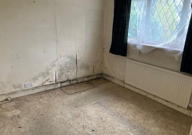 Albert Road, Polegate, via Zoopla