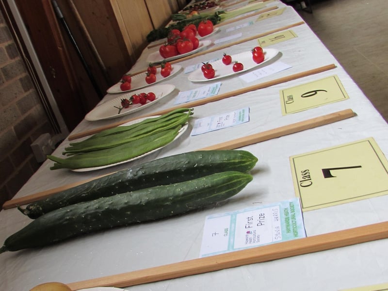 Autumn vegetables on display. Picture: Haywards Heath Horticultural Society.