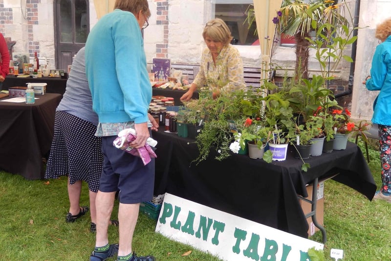 The plant stall set up in Pageant Garden. Photo supplied