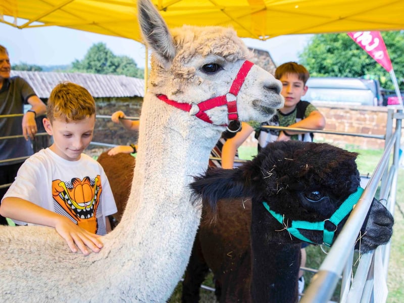 The Northants Acre Community Festival 2021 at Hunsbury Hill Farm on Sunday, September 5 2021.