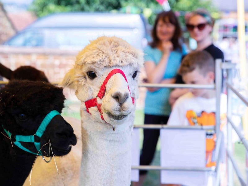 The Northants Acre Community Festival 2021 at Hunsbury Hill Farm on Sunday, September 5 2021.