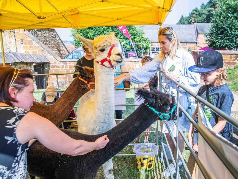 The Northants Acre Community Festival 2021 at Hunsbury Hill Farm on Sunday, September 5 2021.