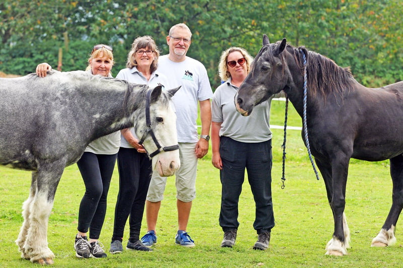 Trustees, Cheryl Tofield-Cook, Simon Smoker, Maggie Southwell and Gemma Page with Bluebell  and Shabba. Photo by Derek Martin Photography. SUS-210409-172756008