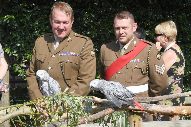 Parrots  say hello to  Major Mitch Pegg, Officer Commanding of the 3rd Battalion The Royal Anglian Regiment, and Sgt Stephen Grant.