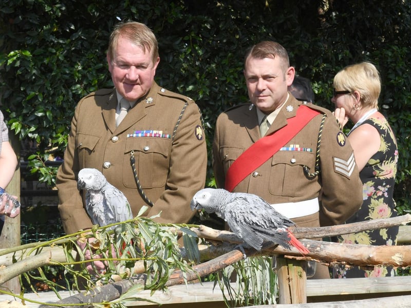 Parrots say hello to Major Mitch Pegg, Officer Commanding of the 3rd Battalion The Royal Anglian Regiment, and Sgt Stephen Grant.