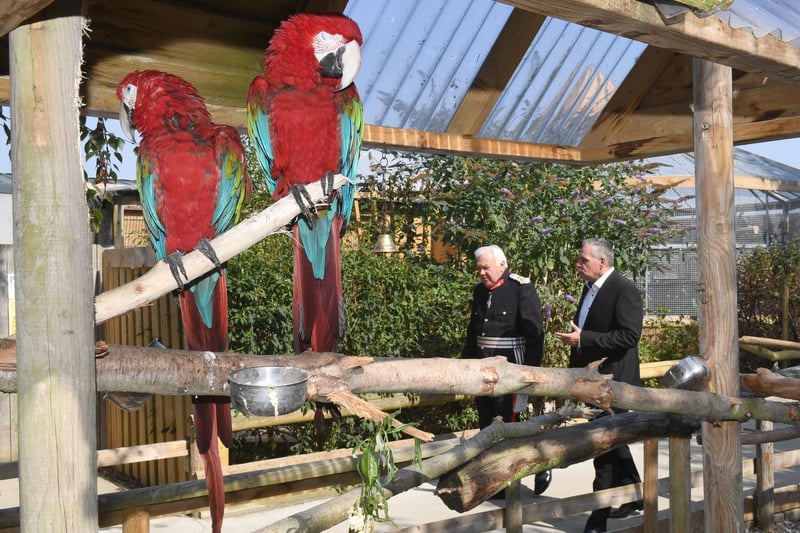 Steve Nichols talking parrots with the Lord Lieutenant of Lincolnshire Mr Toby Dennis during the tour.