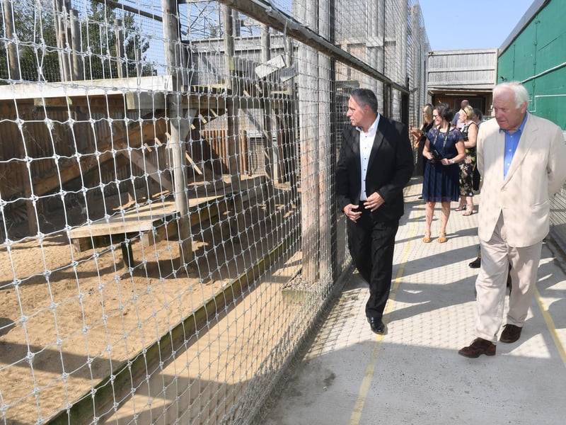 The tigers were a popular part of the tour.