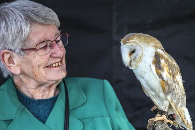 Alba Falconry will return with its display of majestic birds of prey.