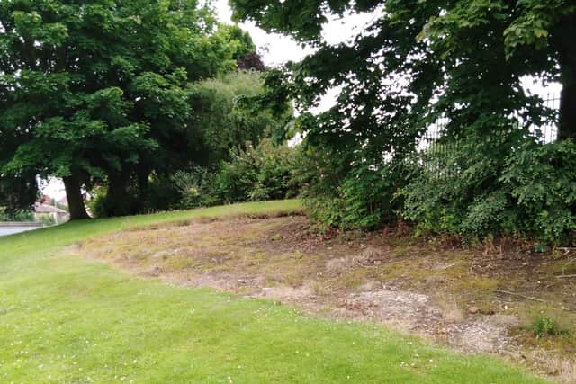 Antonshill Residents Association have flagged up members' concerns over Falkirk Council's plan to cut grass less often across the region. Contributed.
