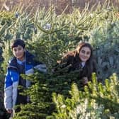 Schools and nurseries across the Forth Valley area received a free tree from Dobbies 
(Picture: Submitted)