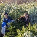 Schools and nurseries across the Forth Valley area received a free tree from Dobbies 
(Picture: Submitted)