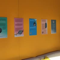 ‘A powerful alternative to remaining stuck’: Mak-Mind: Reflections exhibit comes to Maggie’s Forth Valley