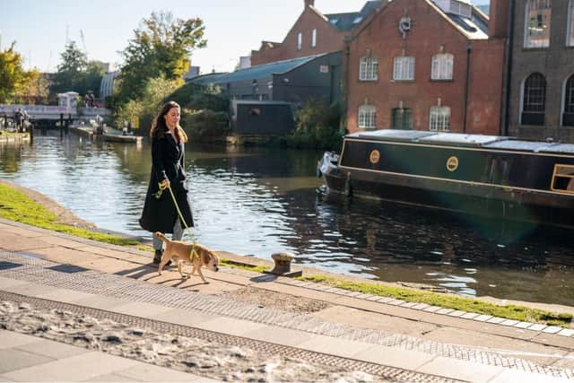 Over three quarters (77%) of owners and their pooches are bored of doing the same walk: Rover reveals the best ‘treat walks’ for the bank holiday weekend