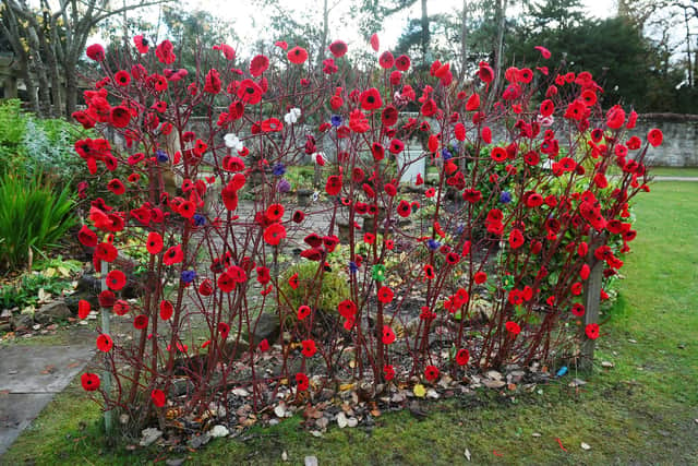 Dollar Park's walled garden is now home to an amazing poppy wall created by a Cyrenians community project and is avalaible for everyone to see until November 12