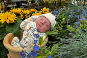 Blooming marvellous: The newest addition to the family was born as the firm celebrated 81 years