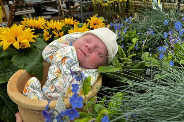 Blooming marvellous: The newest addition to the family was born as the firm celebrated 81 years