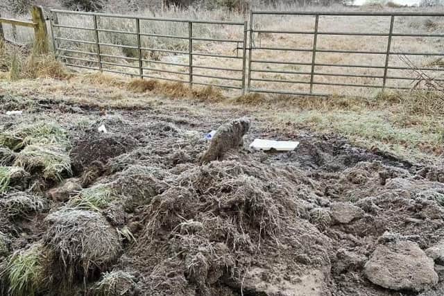 Garden waste dumped in roads around the Braes. Pic: Contributed