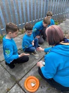 40th Falkirk Beavers taking part in activities