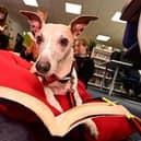 Jamie buries his head in a dog eared novel in the school library(Picture: Submitted)