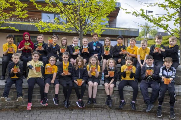 Lynne, development sales manager for Miller Homes, visited the P5/6 pupils to see how their bulbs have grown.  Pic: Jeff Holmes.