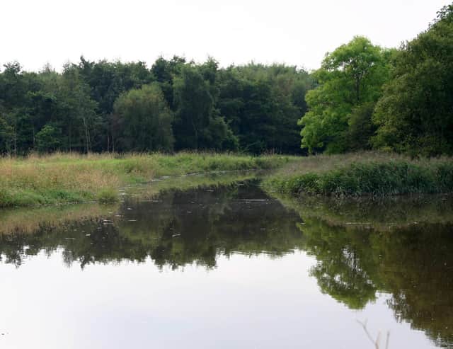 The original port of Falkirk on the Abbotshaugh Pow.