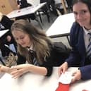 Larbert High School art pupils create poppies to raise funds for Help for Heroes