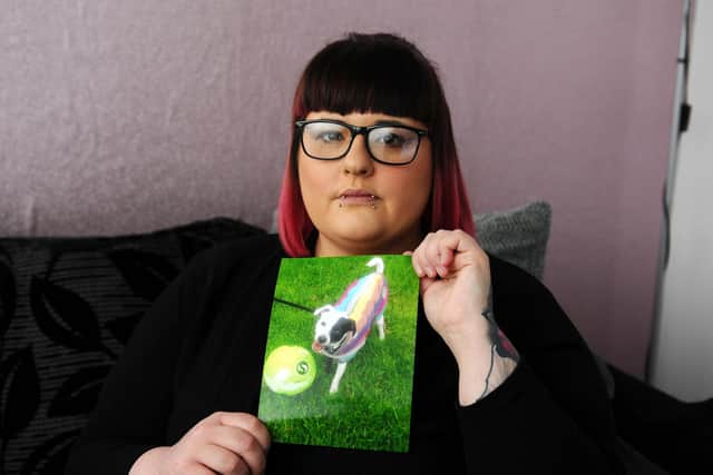 Lynn Buchanan's dog, Spud, was attacked and killed by a Rottweiler while being walked by her son Jack in Callendar Rise, Redding. Picture: Michael Gillen.