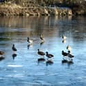 Water Safety Scotland has issued a frozen water warning as temperatures continue to fall
(Picture: Submitted)