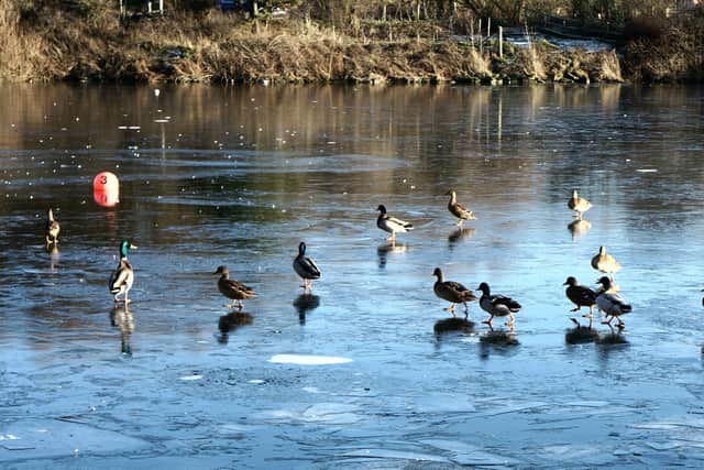 Water Safety Scotland has issued a frozen water warning as temperatures continue to fall
(Picture: Submitted)