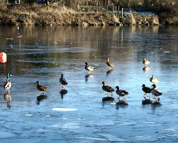 Water Safety Scotland has issued a frozen water warning as temperatures continue to fall
(Picture: Submitted)