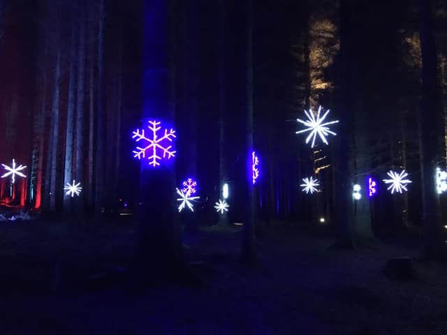 Last year's event proved popular with families