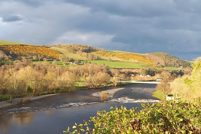 The River Tweed in Melrose was bathed in Spring sunshine when it was captured by Lynne Bell.