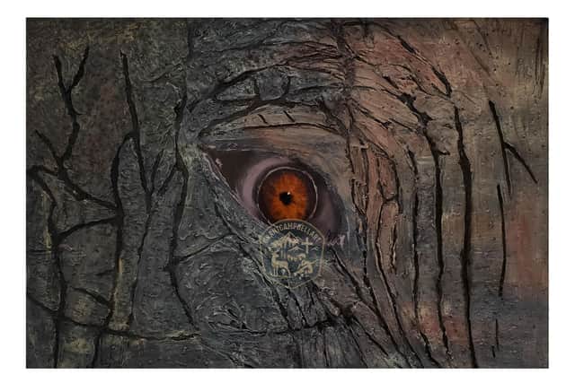 The piece focuses on an elephant's eye, and weighs a whopping 2.5kg due to the thick paint Grant used to bring out the textures of the animal's skin. (Contributed).