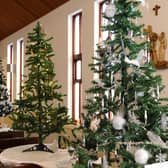 The annual display of decorated Christmas trees this year took place in St Mary's RC Church.