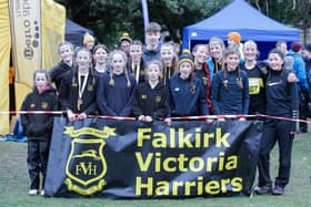 (Pics by Bobby Gavin/Scottish Athletics, Falkirk Vics, Scott Louden, Alan Murray, Contributed)