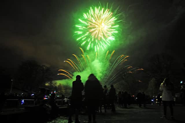 The bright lights in the night at last year's annual fireworks display in Callendar Park
