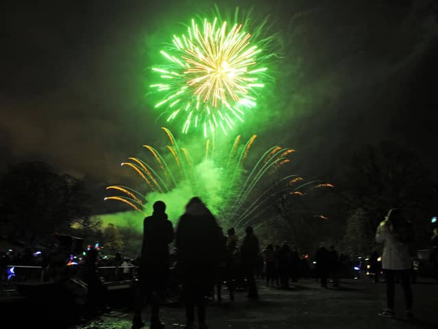 The bright lights in the night at last year's annual fireworks display in Callendar Park